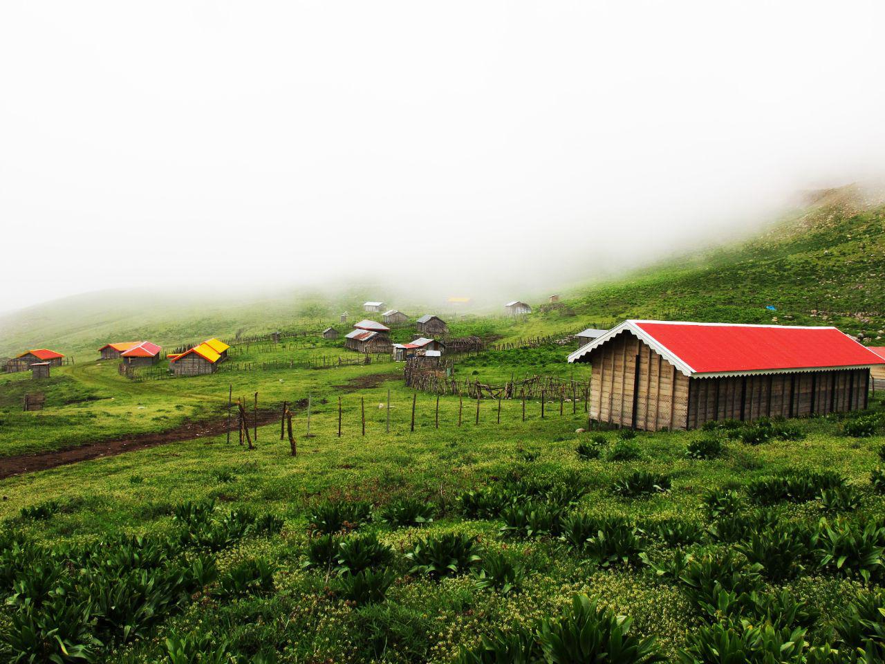 راهدون - درباره ما