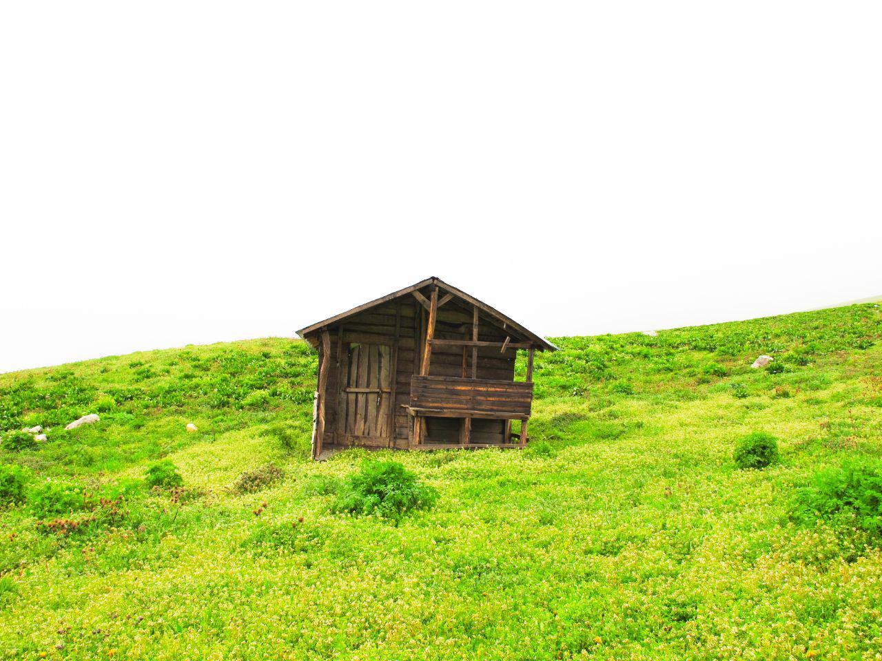 راهدون - درباره ما