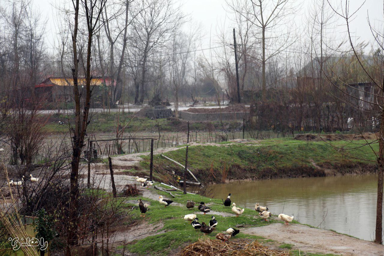 تور بوم گردی راهدون