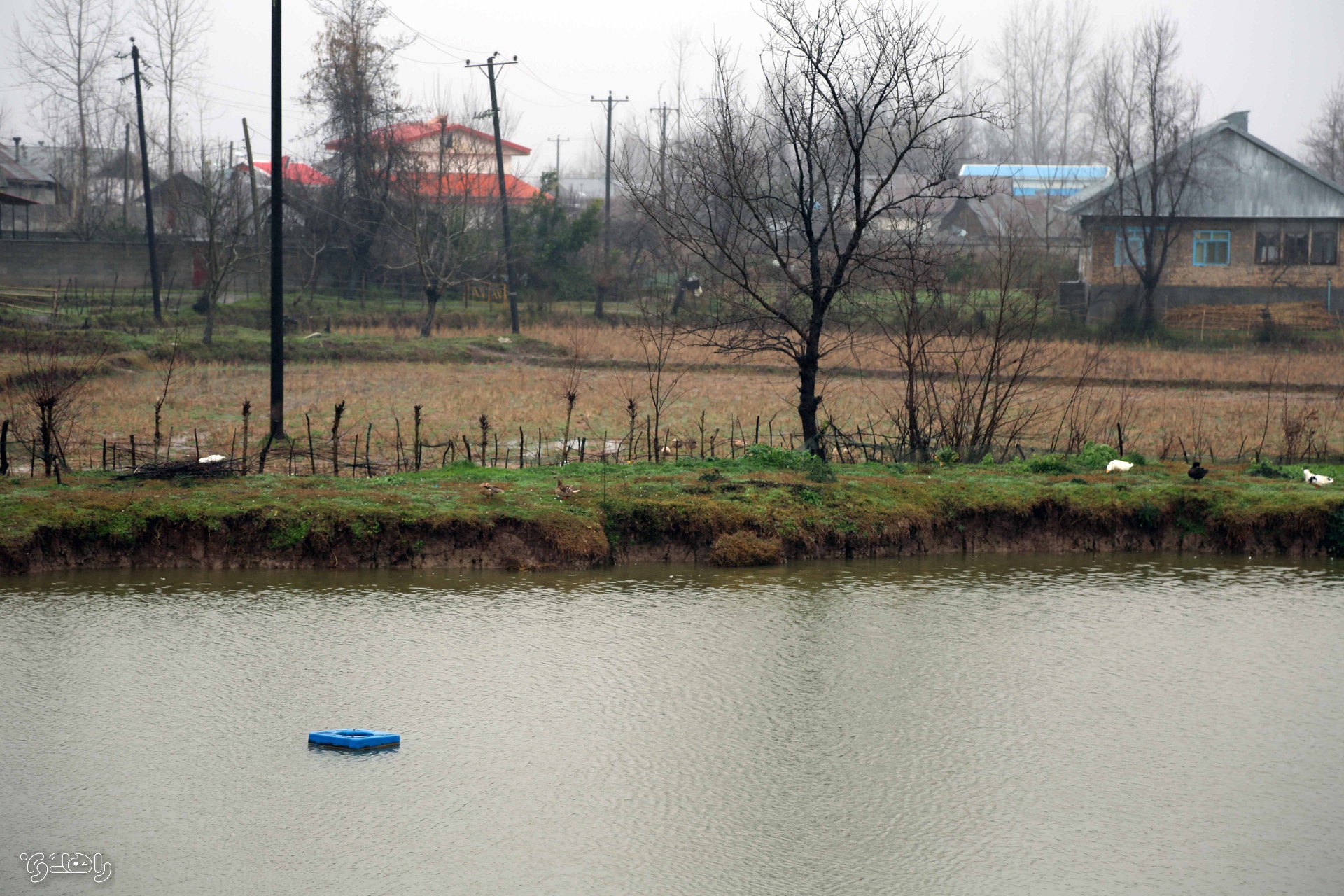 تور بوم گردی راهدون