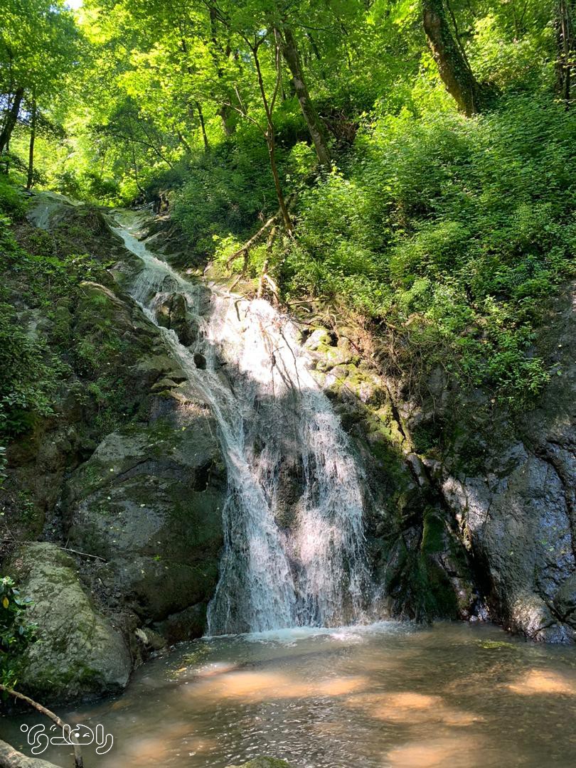 تور تجربه زندگی محلی