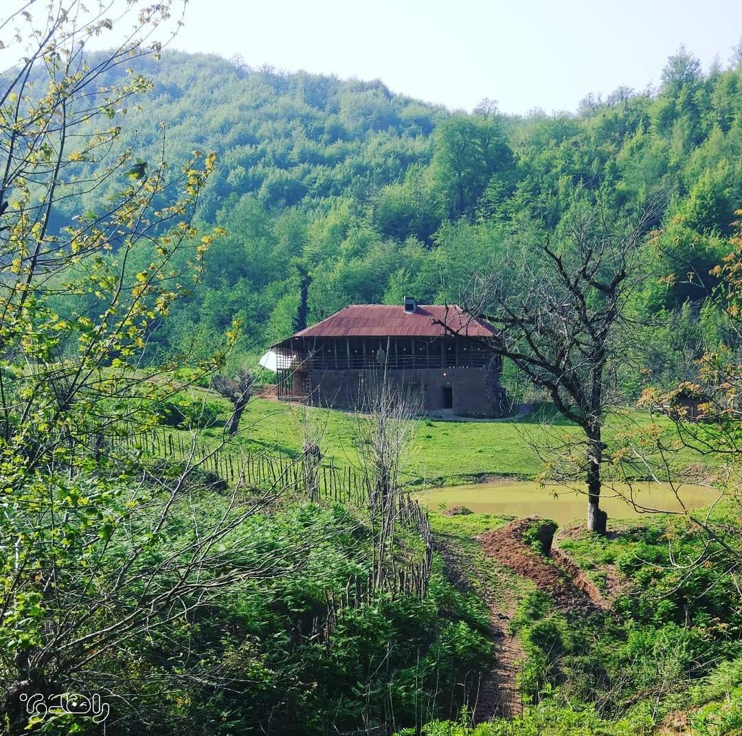 تور تجربه زندگی محلی