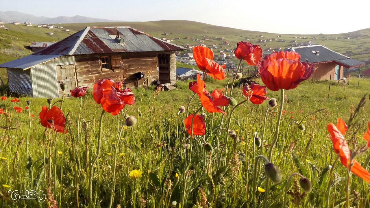 کلبه ییلاقی تخت علی