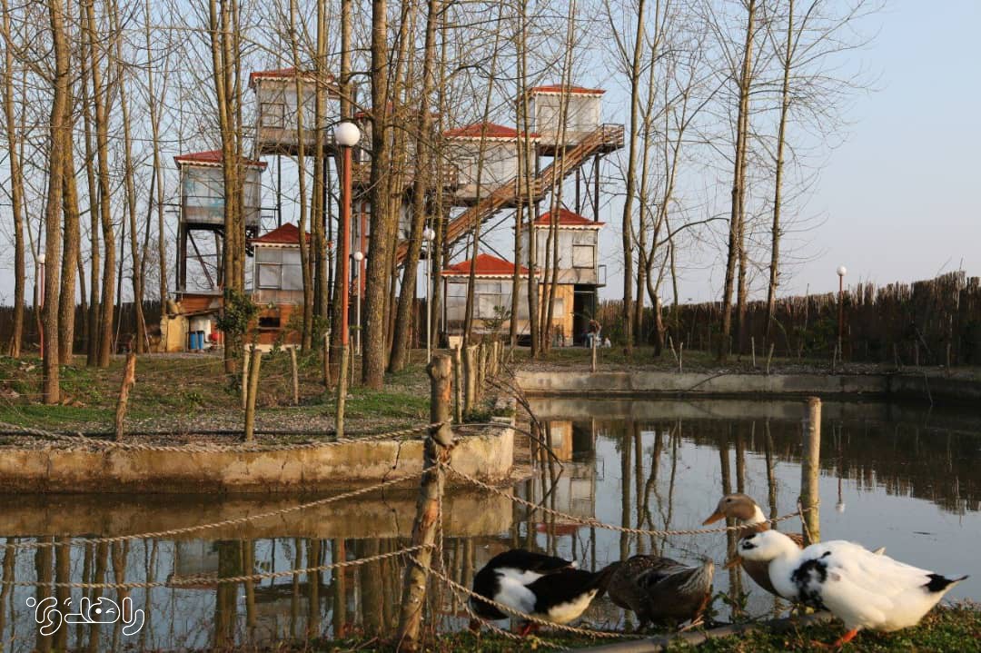 اقامتگاه بوم گردی تی تی نار- (آلاچیق درختی 10 متری)