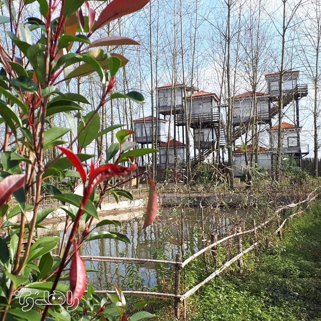 اقامتگاه بوم گردی تی تی نار- (آلاچیق زمینی 8 متری)