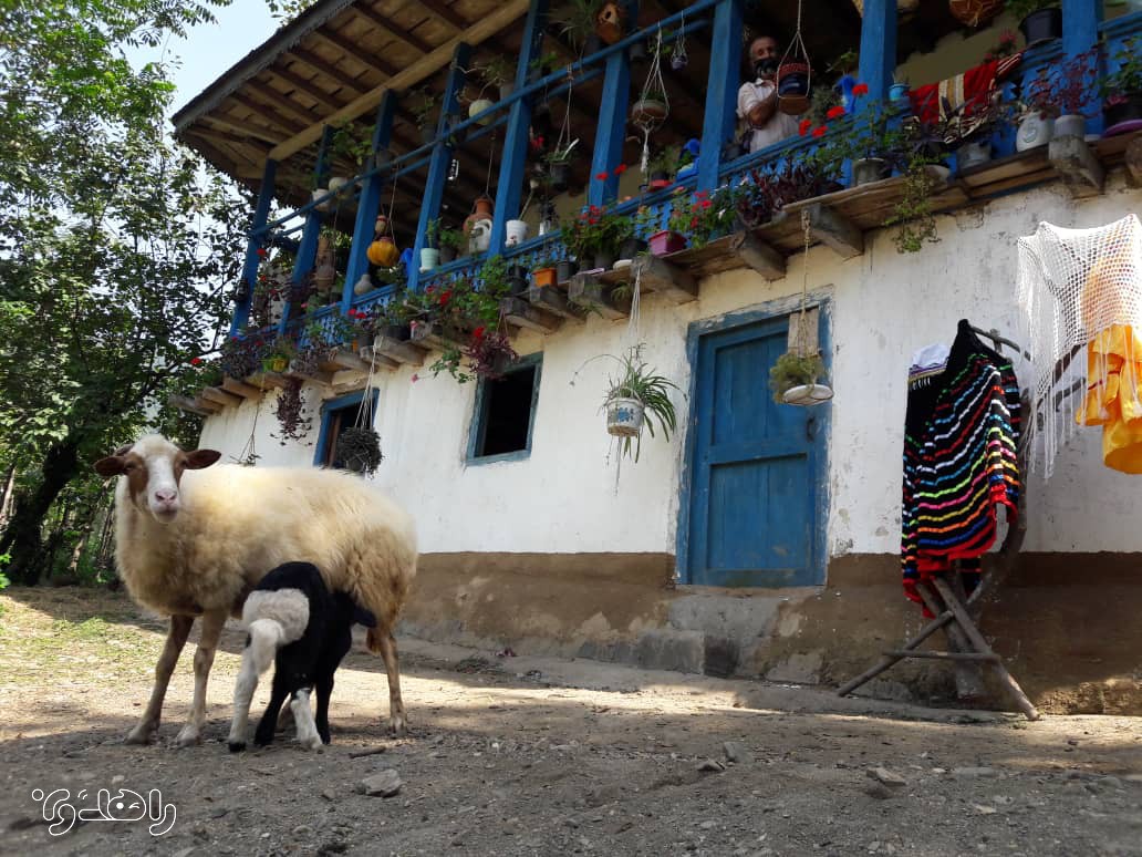 اقامتگاه بومگردی تی تی بوم