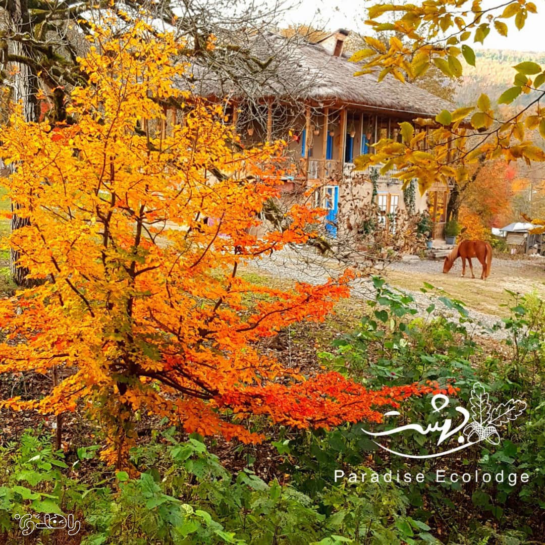 اقامتگاه بوم گردی بهشت_اتاق4