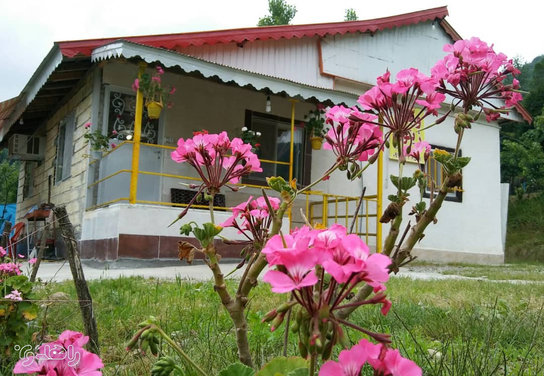 اقامتگاه جنگلی زیتون