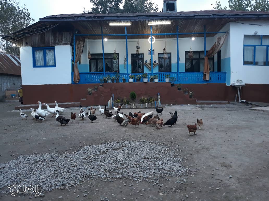 اقامتگاه بوم گردی تفریحی فل خانه-اتاق 1