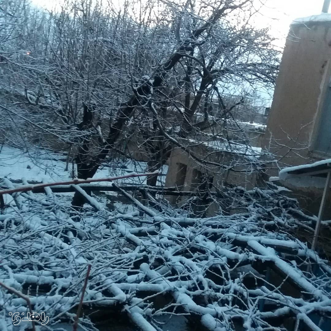 اقامتگاه بومگردی سرای مادری-اتاق 5