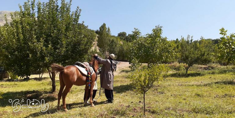 اقامتگاه بوم گردی بلوط تاف-اتاق 1