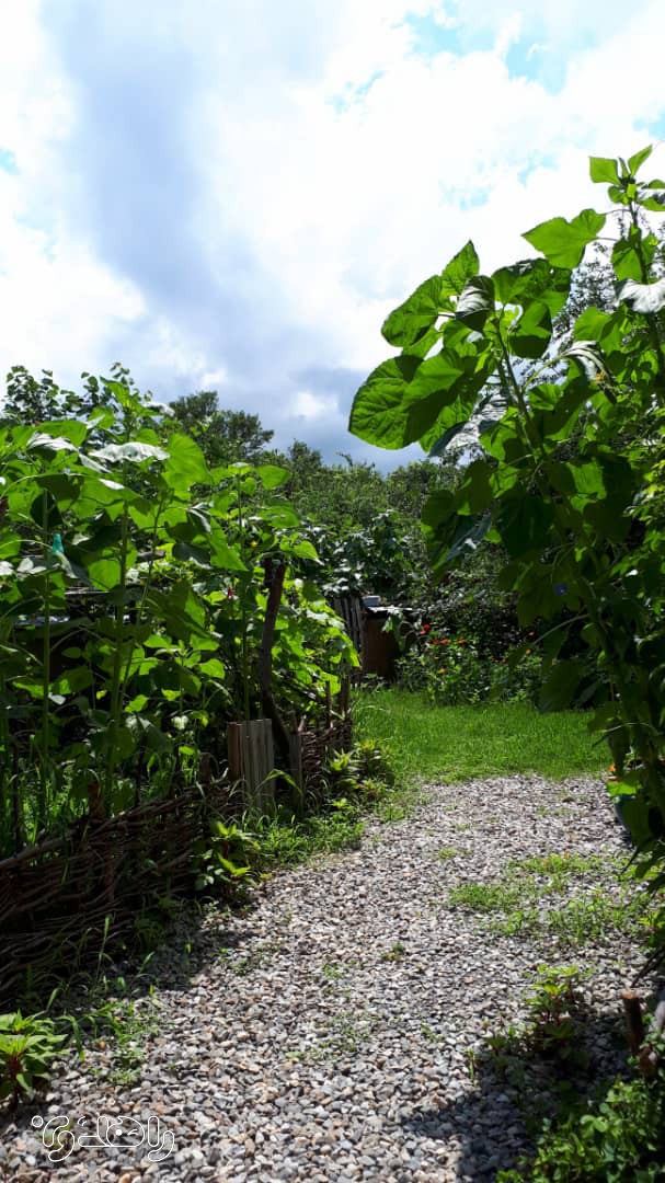 اقامتگاه بوم گردی آوش گلستان