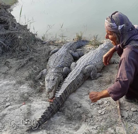 اقامتگاه بوم گردی شجره سیستان و بلوچستان