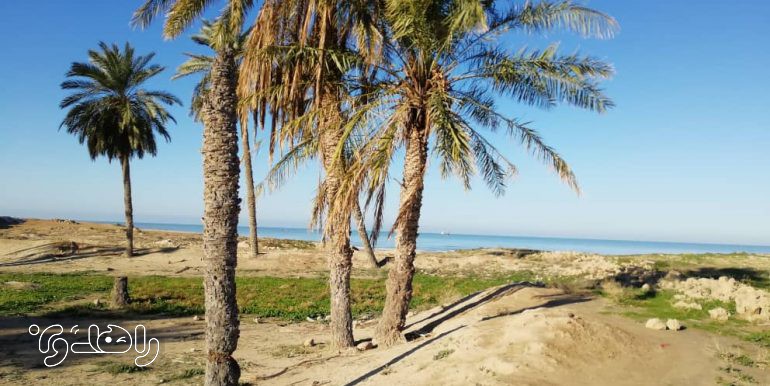 اقامتگاه بوم گردی گبگو بوشهر