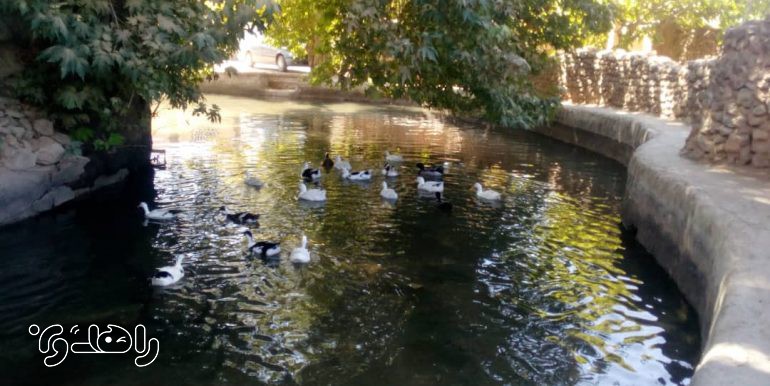 اقامتگاه بوم گردی آویشن کرمان